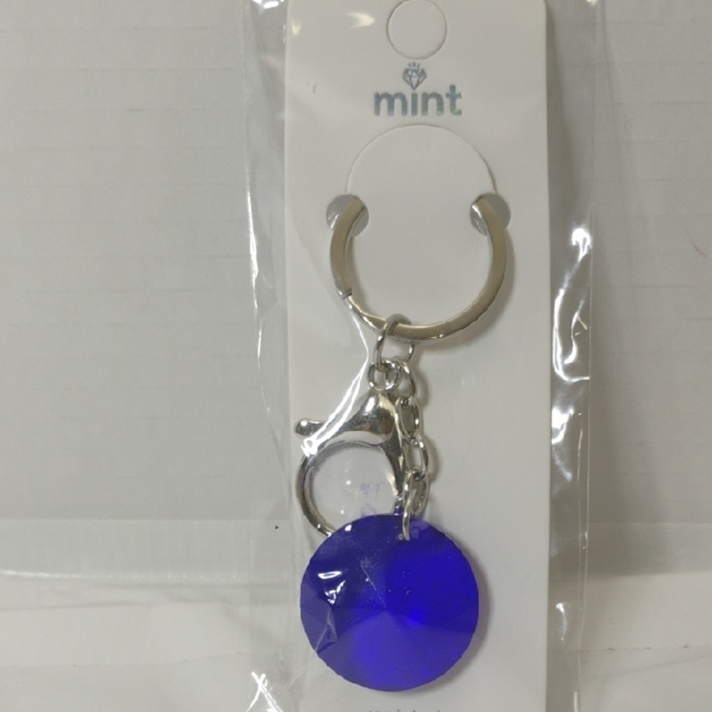 Mint Blue and Silver Keychain